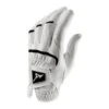 Mizuno Elite Golf Glove 2 Mizuno Elite Golf Glove -Mizuno 230197 L009