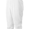 Mizuno Youth Premier Short Baseball Pant -Mizuno 350312 0000