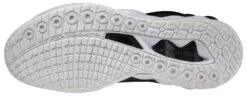 Mizuno Wave Luminous 2 Women's Volleyball Shoe -Mizuno 430305 9000 02