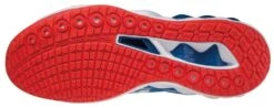 Mizuno Wave Luminous 2 Women's Volleyball Shoe -Mizuno 430305 OCOC 02